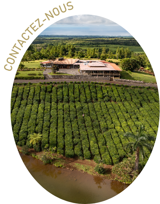 Contactez Saint Aubin