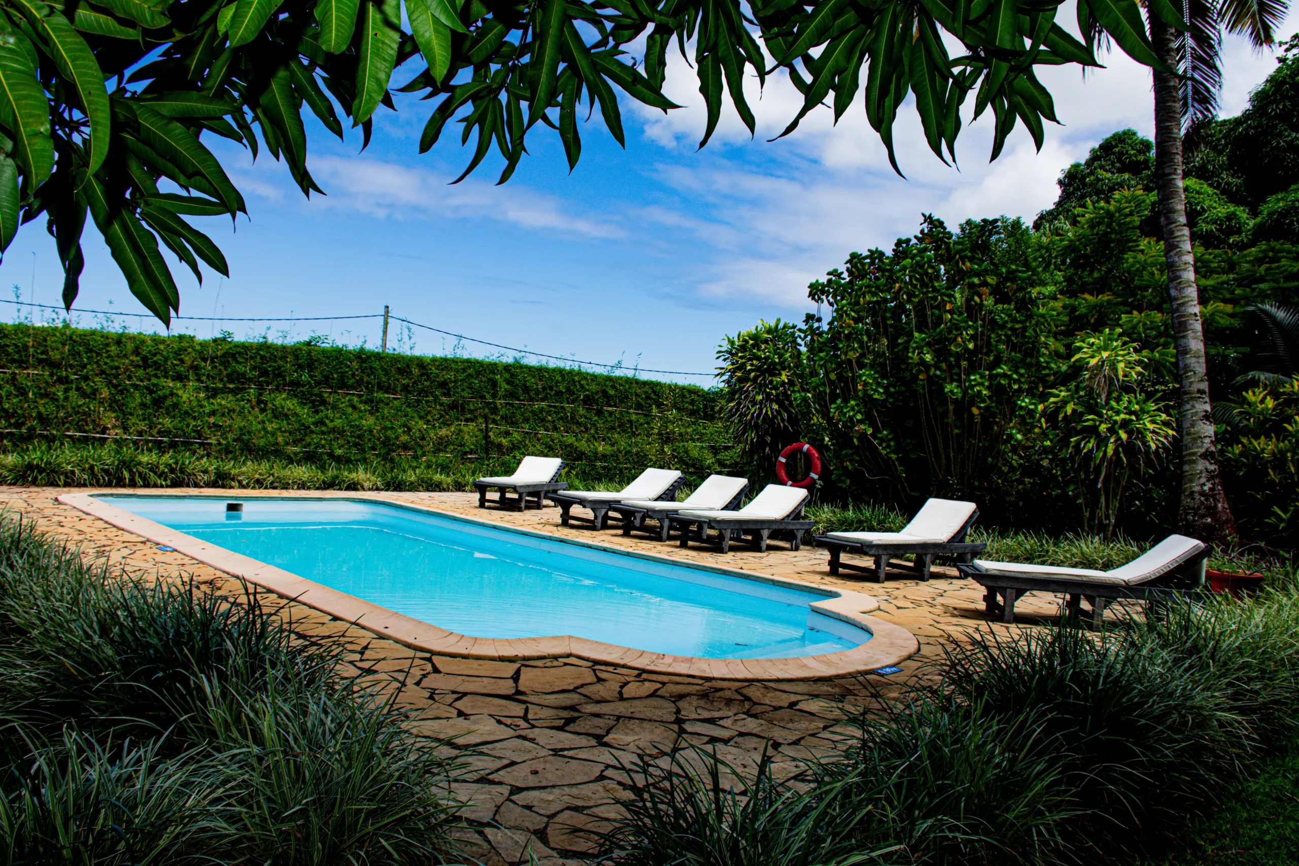 LA PISCINE